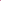 Bouquet of fuchsia-pink hydrangeas Miu-Miu
