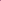 Bouquet of pink peonies Blush Queen M