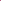 Bouquet of pink peonies Blush Queen L