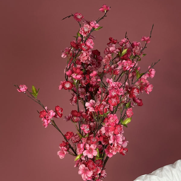 Sakura Blossom Branch