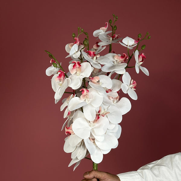 Artificial Real Touch White Orchid