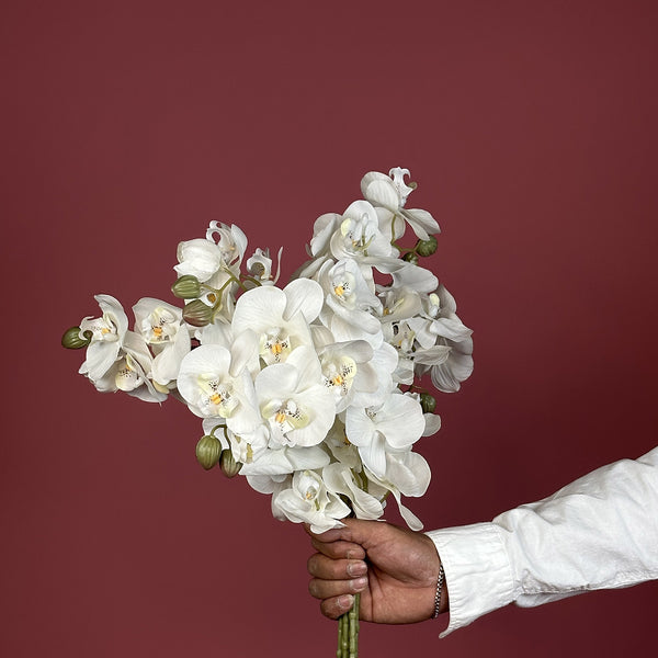 Artificial Real Touch White Phalaenopsis