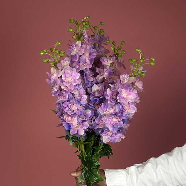 Delphinium C8 Lilac