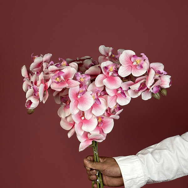Artificial Real Touch Light Pink & White Orchid