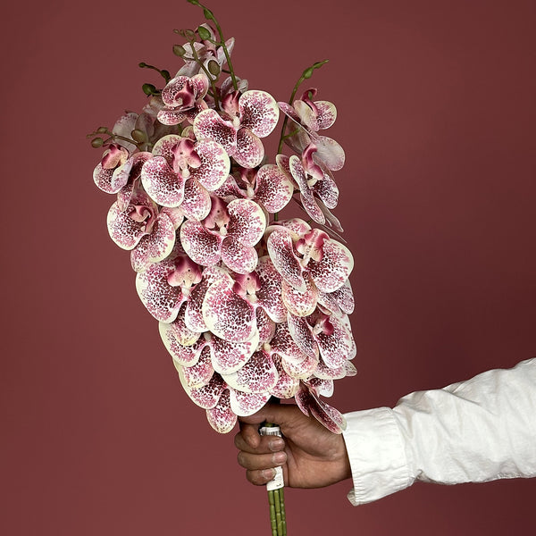 Artificial Real Touch White & Pink Speckles Orchid