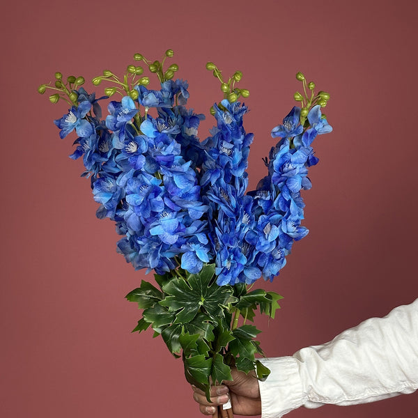Delphinium C6 Blue