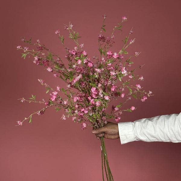 Willow Pink