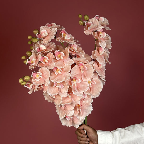 Artificial Real Touch Peach Pink Phalaenopsis