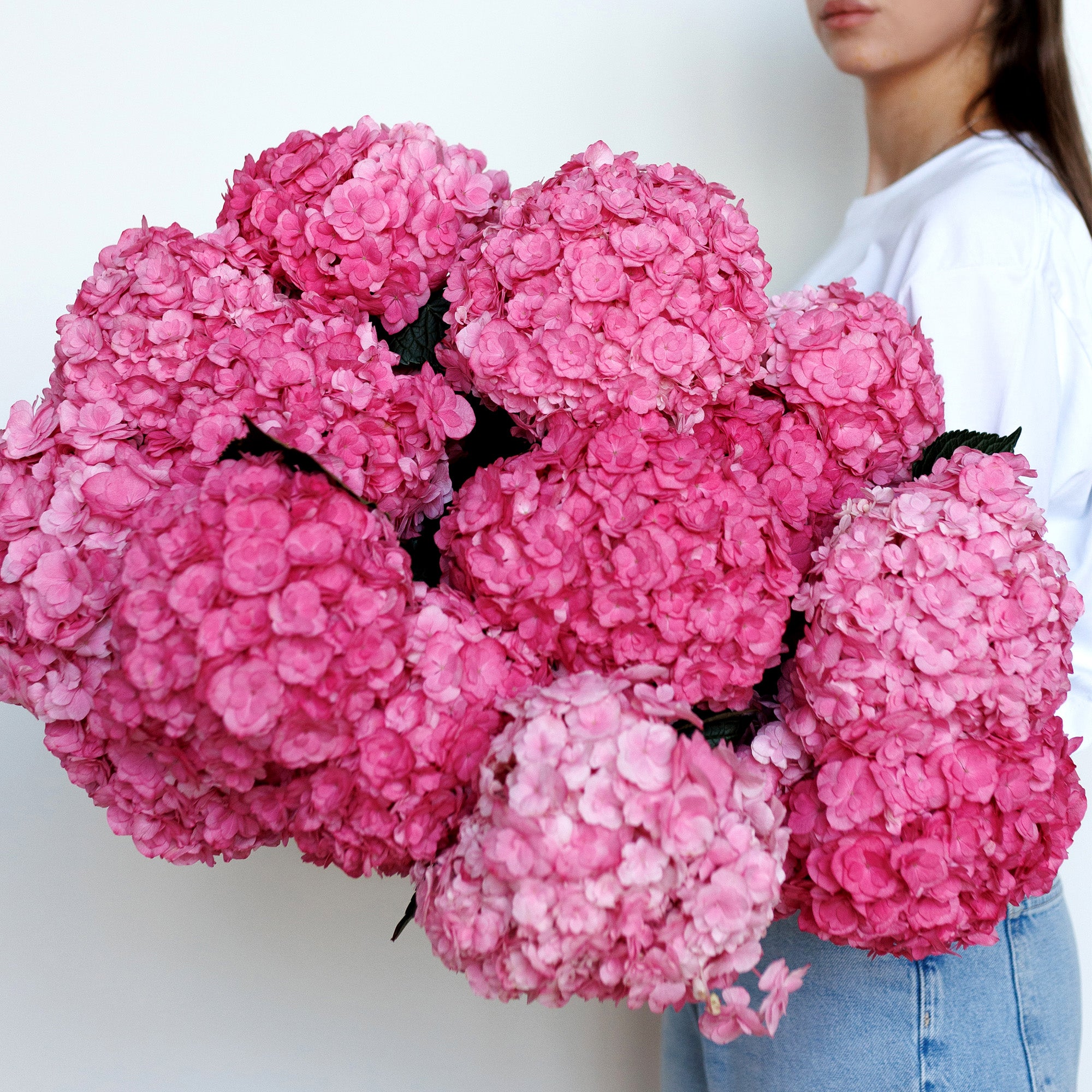 Bouquet of fuchsia-pink hydrangeas 