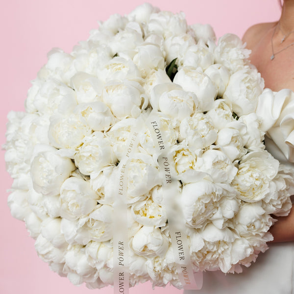 Purity WOW