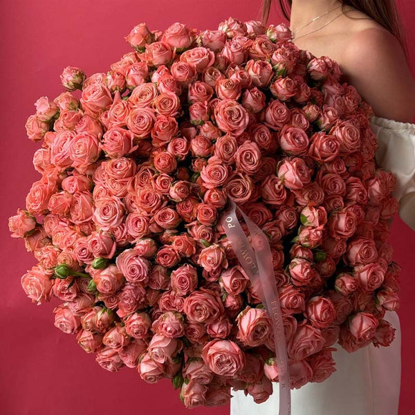Bouquet of coral-pink garden spray roses Coral Lace
