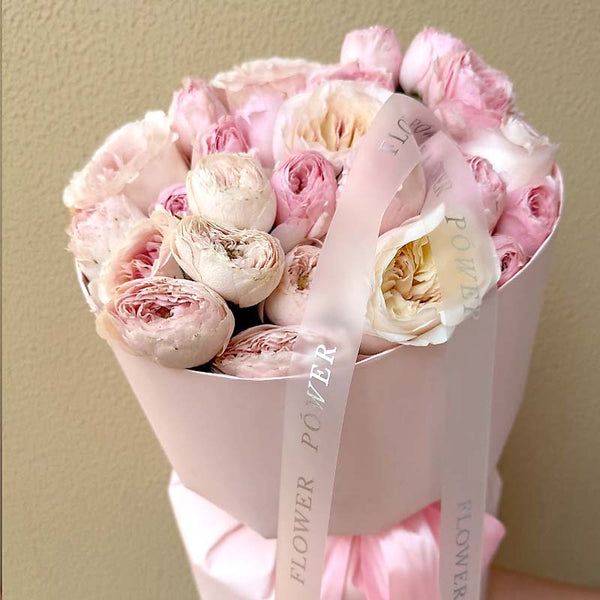Powder Bloom