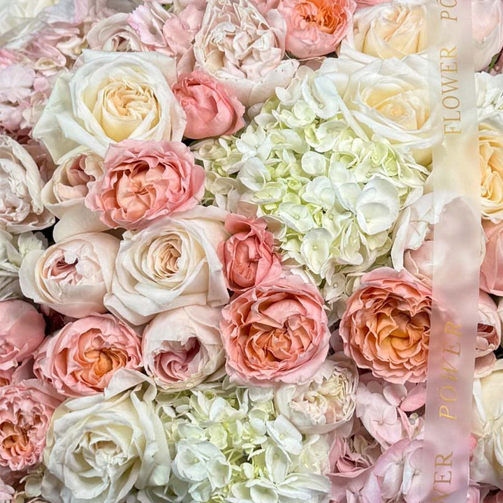 Coral Grace – elegant bouquet of long-stemmed coral roses – romantic flower gift by Flower Power