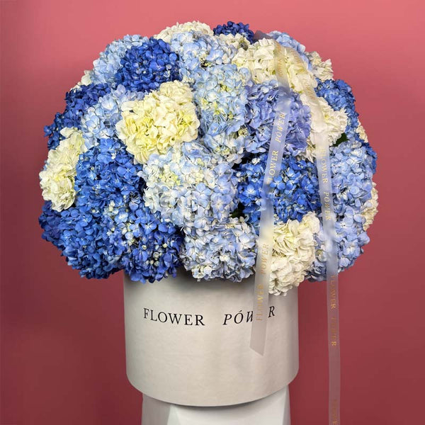 Moonpetal Veil - romantic bouquet of long-stemmed roses - elegant floral expression by Flower Power