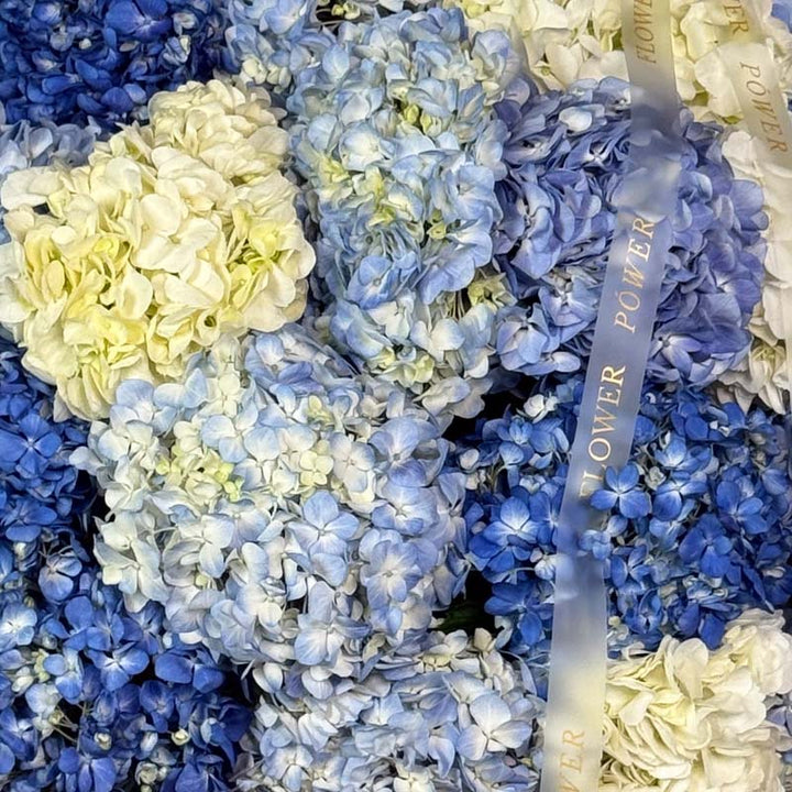 Moonpetal Veil – dreamy white rose bouquet for her – online flower delivery by Flower Power