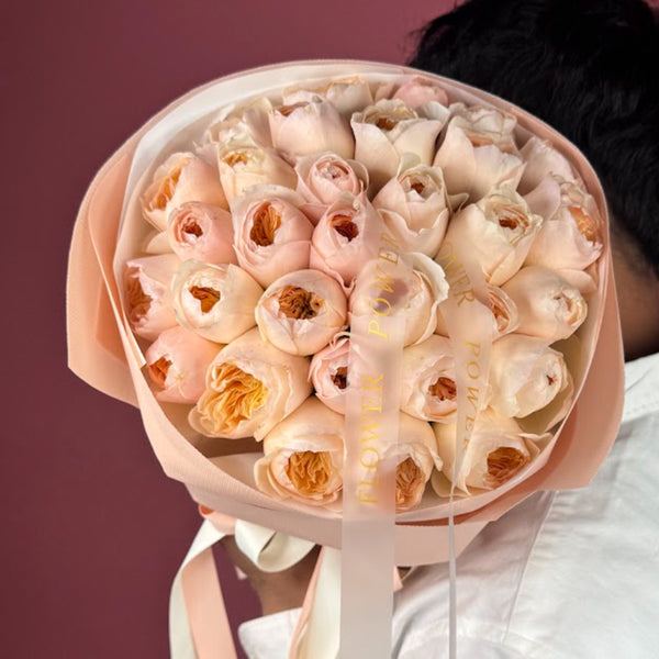Apricot Veil
