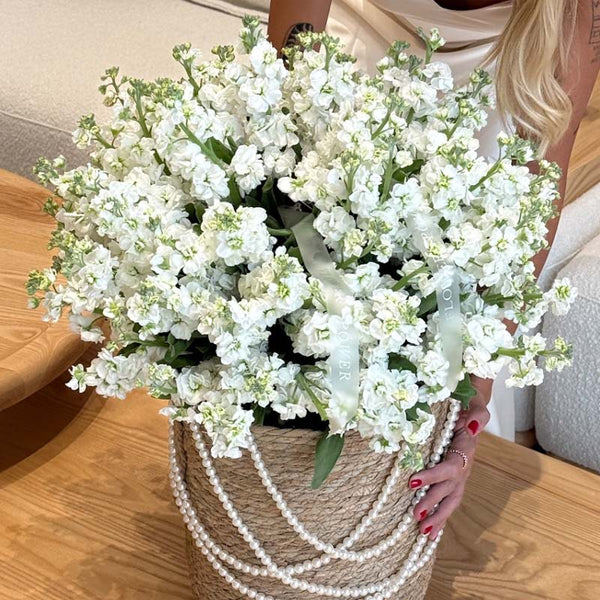 Basket of white matthiolas White Meadow